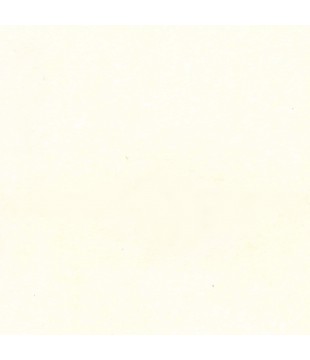 Mikroplyš Anfora 3511