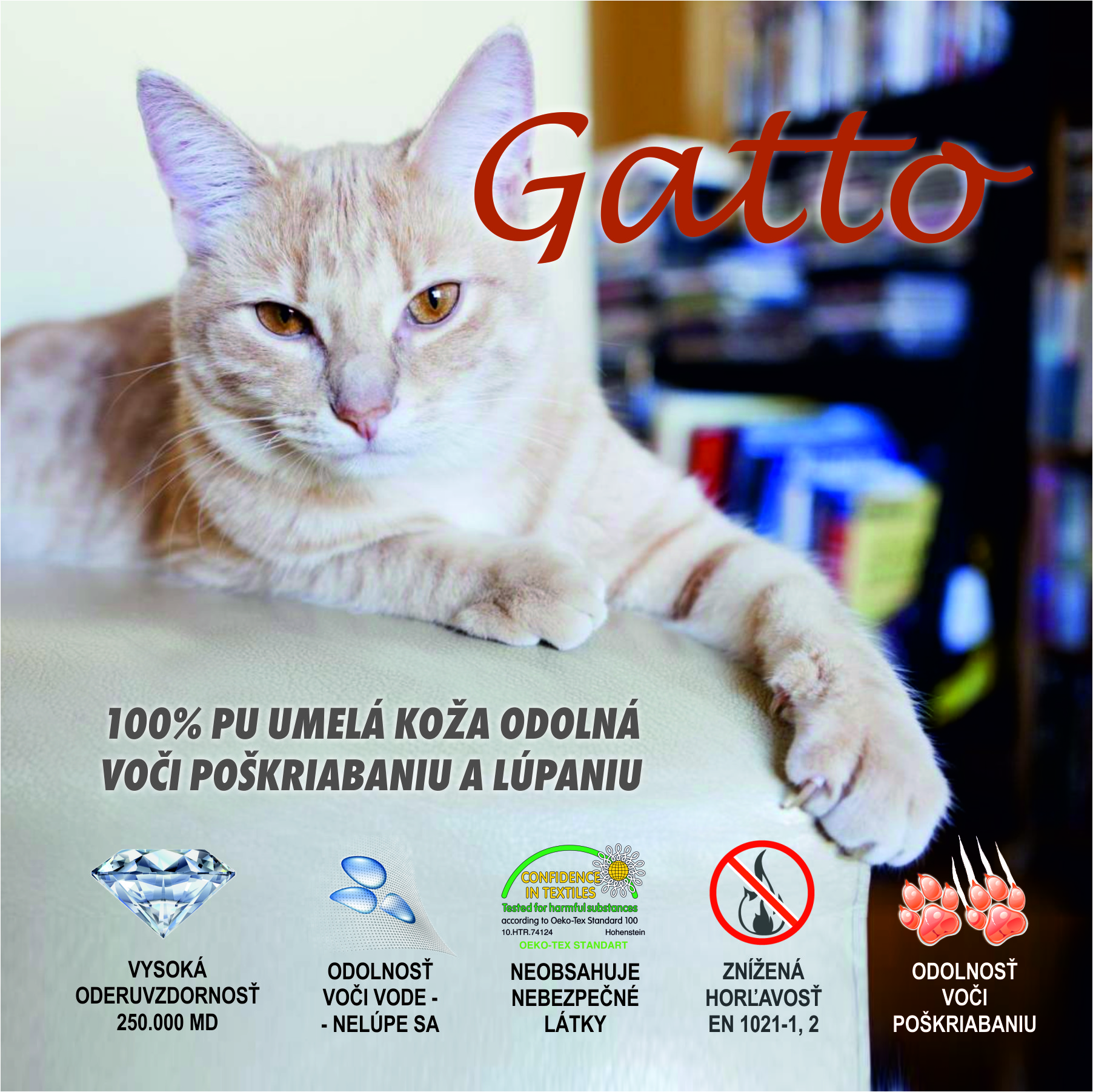 gatto.jpg